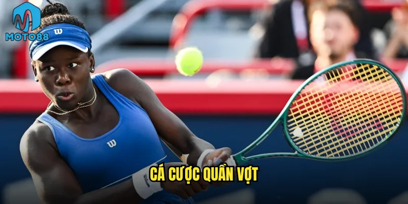 cá cược quần vợt